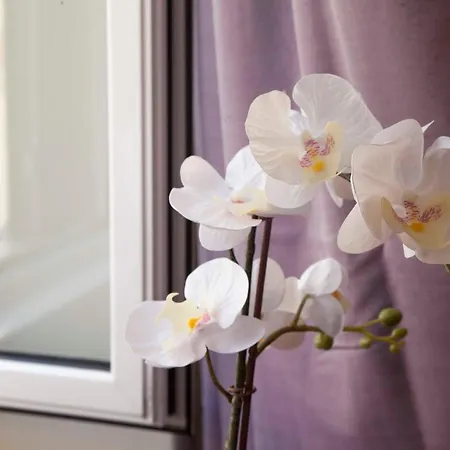 Monti House Apartment Rom