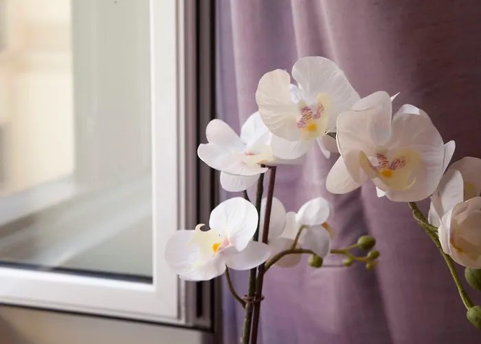 Monti House Apartment Rom